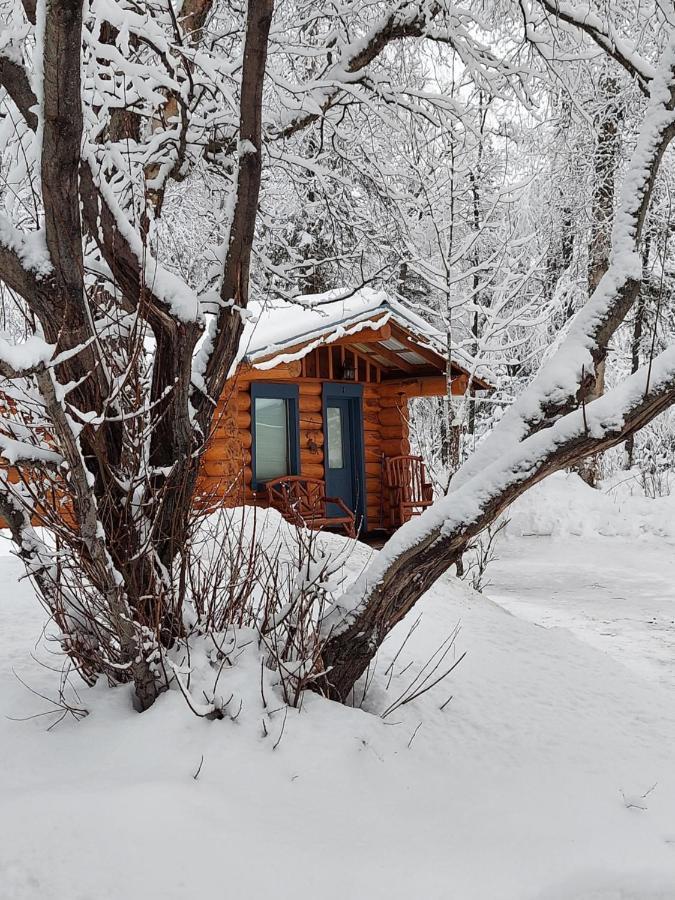 Hatcher Pass Cabins Palmer Exterior foto